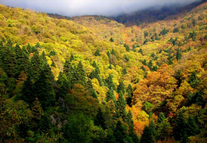 Erasmus + 2022-2024 «Forest fire prevention»