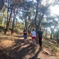 IMG_20240927_095045_original