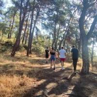 IMG_20240927_095048_original
