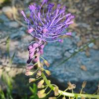 IMG_20260506_095013_original