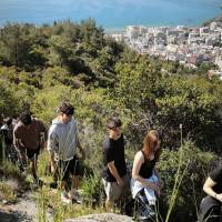 IMG_20260506_095128_original